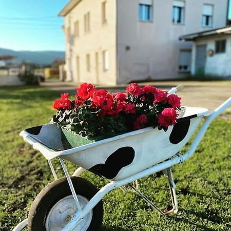 Viviendas Uso Turistico Reme II Фос Екстер'єр фото